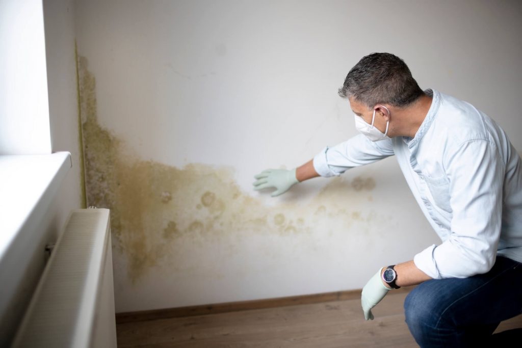 Man with a mask and blue shirt and gloves in front of white wall with mold