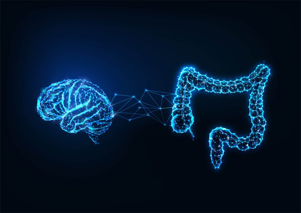 Futuristic gut brain connection concept with glowing low polygonal human brain and intestine isolated on dark blue background.