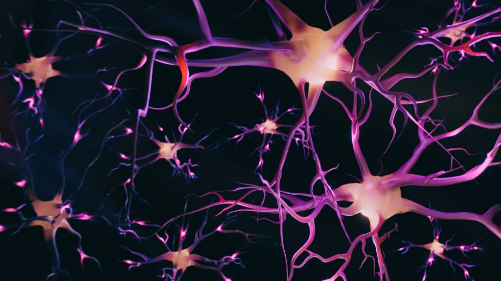 View interconnected neurons cells with electrical pulses