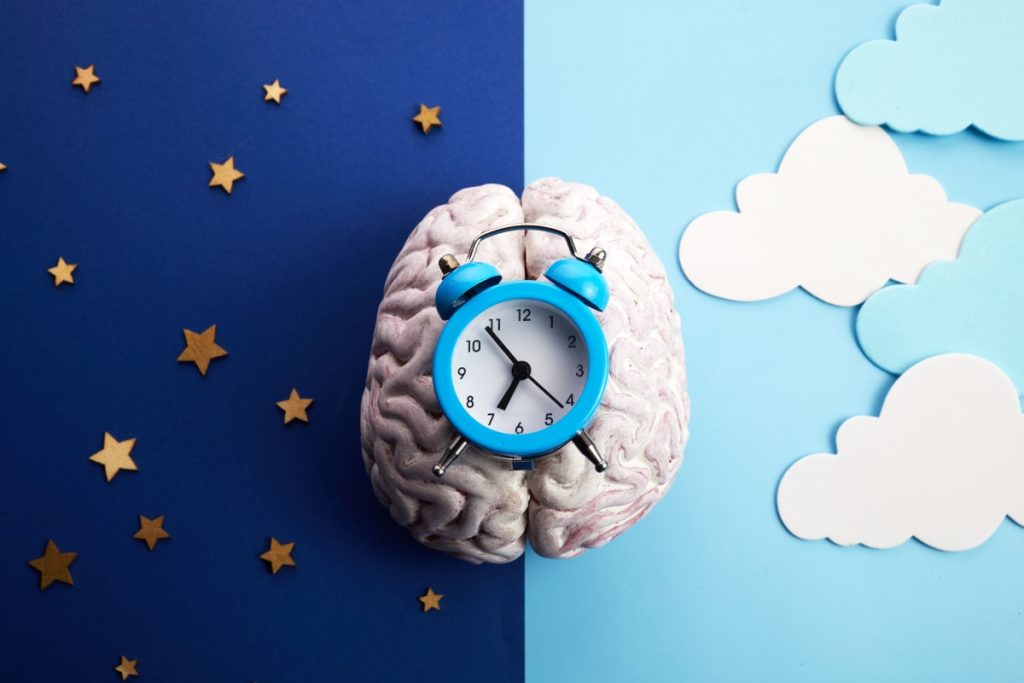 The circadian rhythms are controlled by circadian clocks or biological clock.