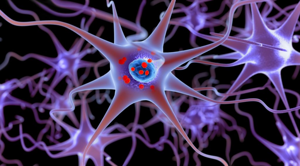  illustration showing neurons