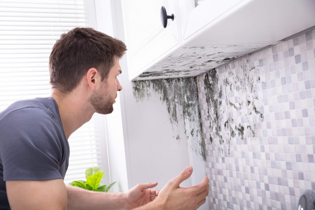 Side View Of A Young Man Looking At Mold On Wall