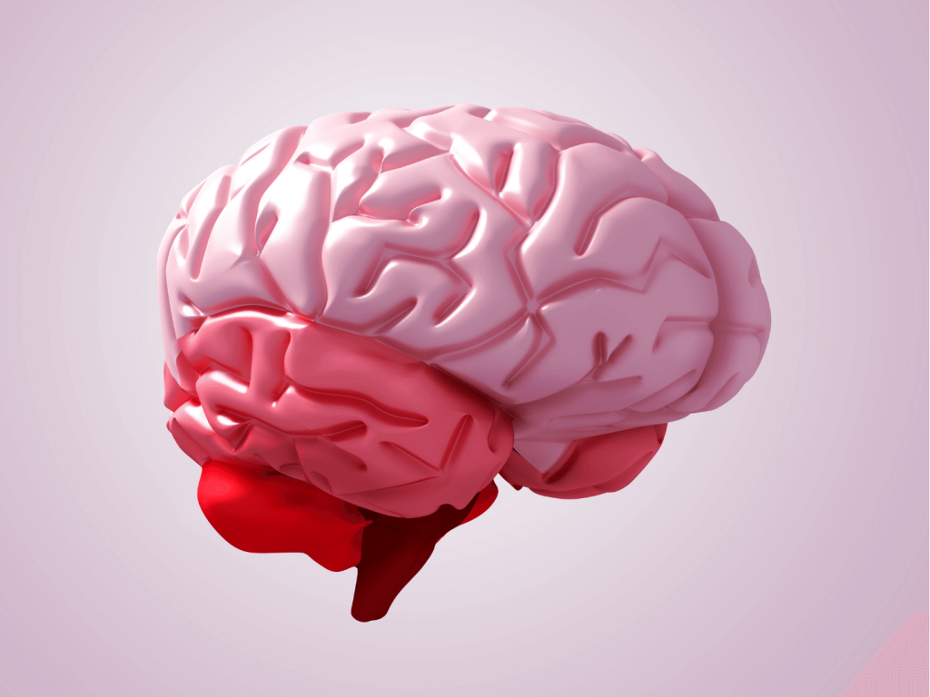 3D render of a brain