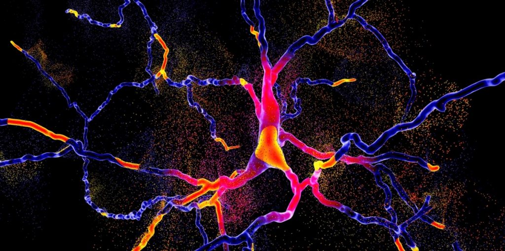 neurotransmitters